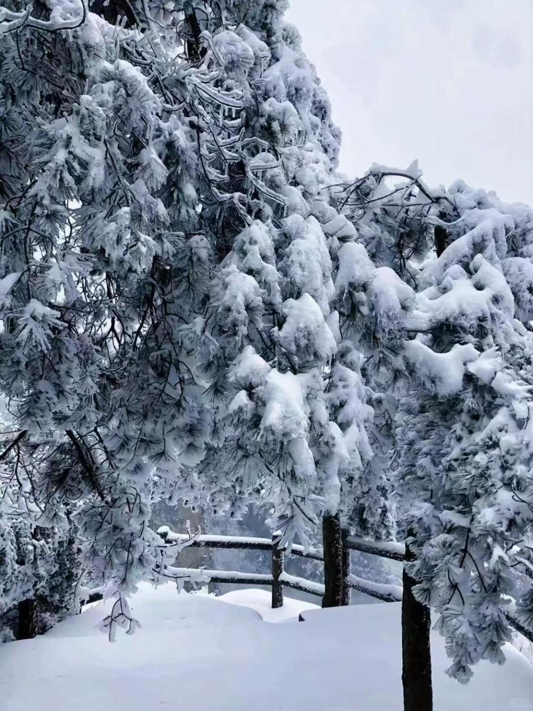 Zhangjiajie Tingyutang Little Yard Exterior foto