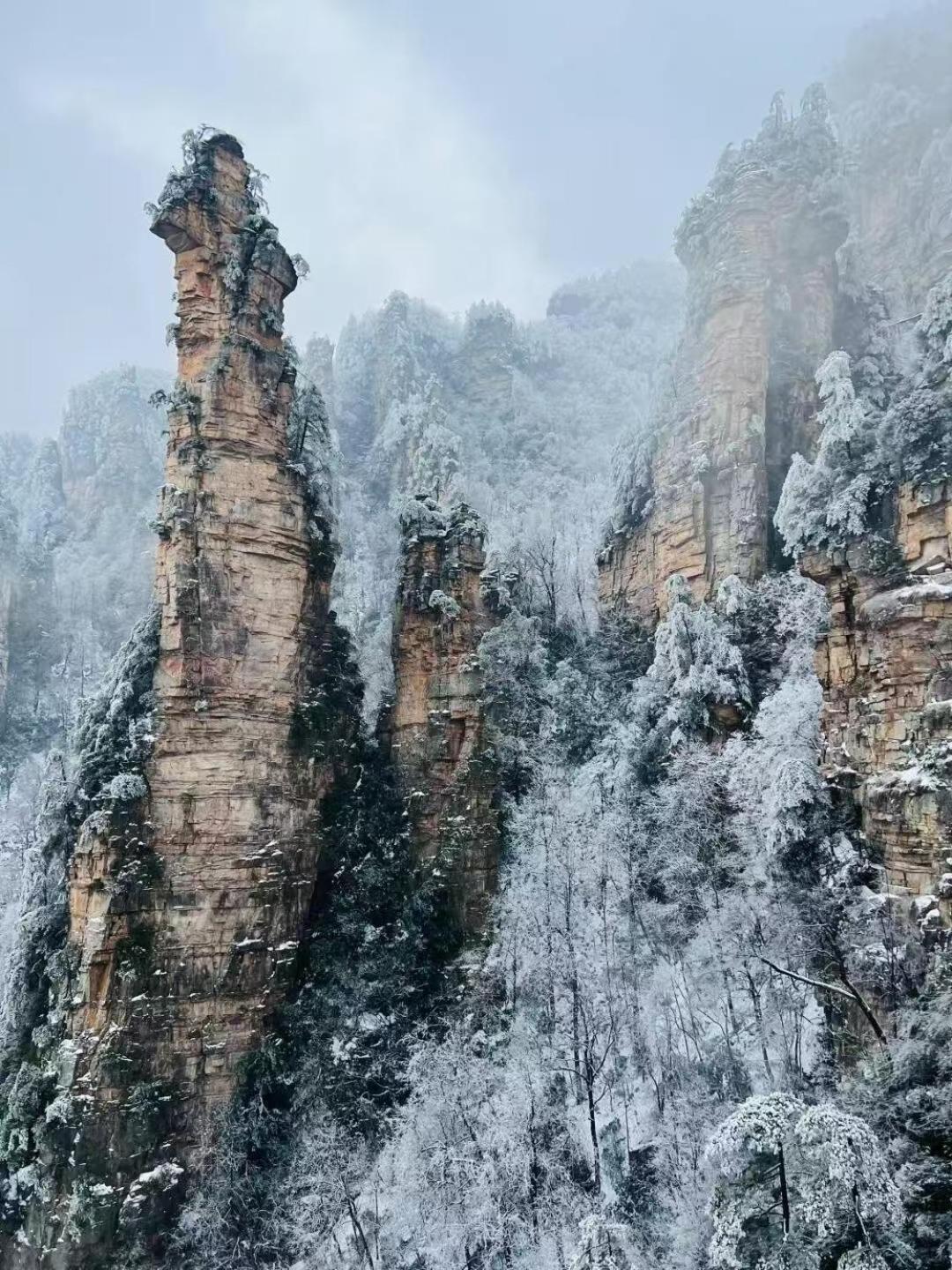 Zhangjiajie Tingyutang Little Yard Exterior foto