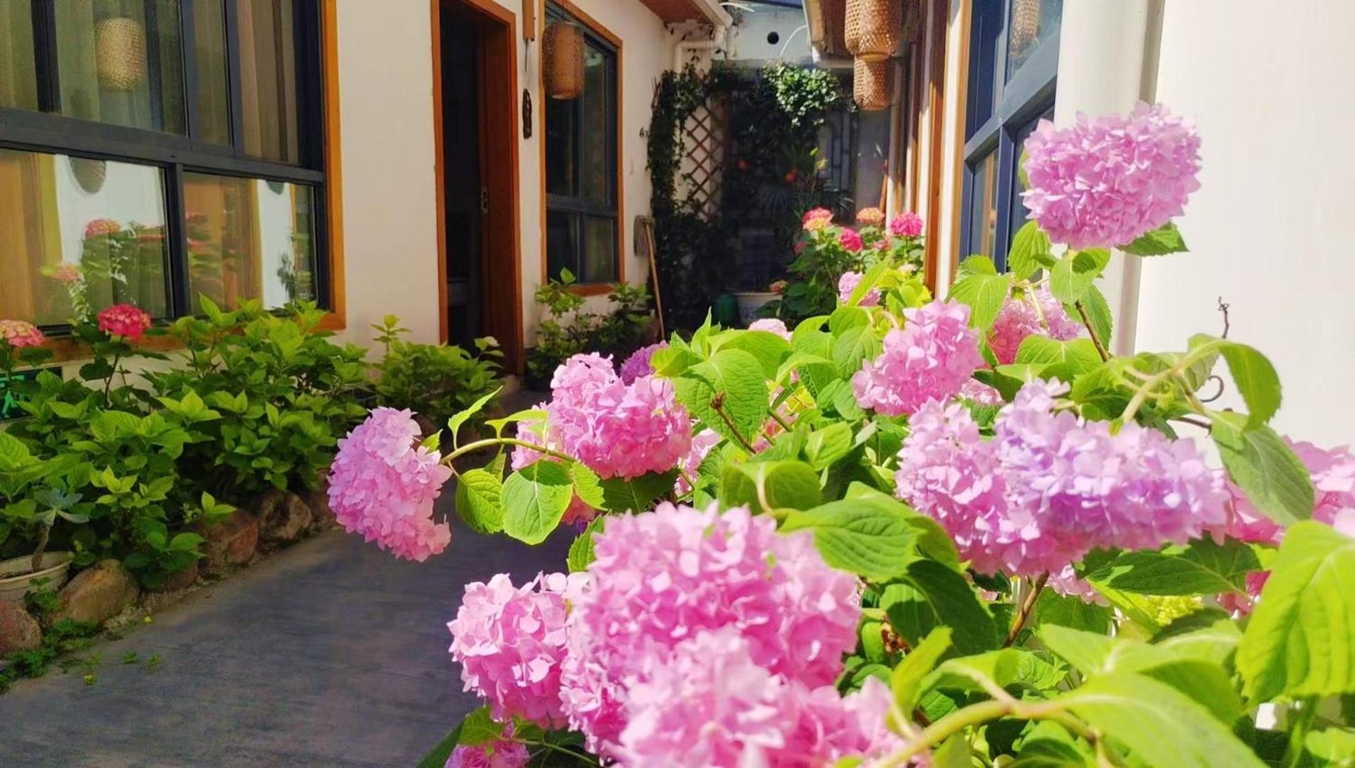 Zhangjiajie Tingyutang Little Yard Exterior foto